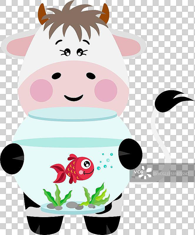 搞笑的牛在水族箱里拿着一条红鱼图片素材