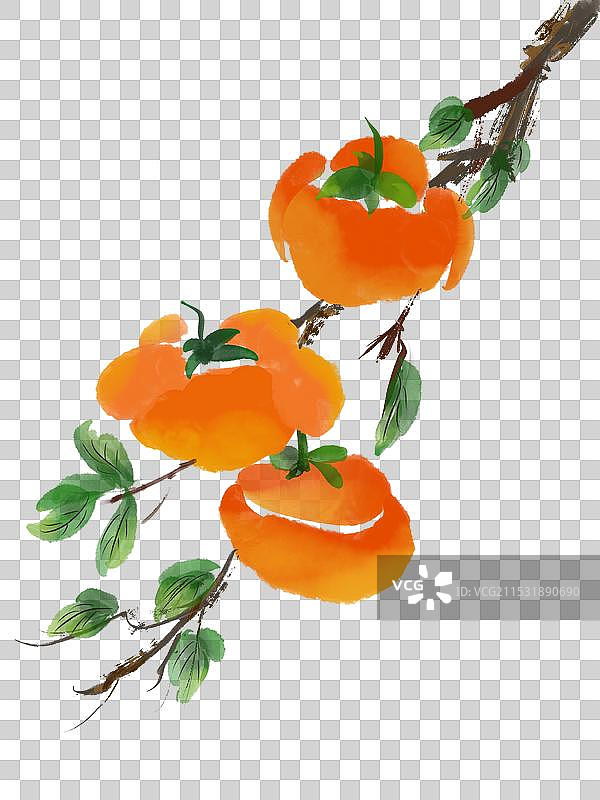 水彩手绘免抠柿子图片素材