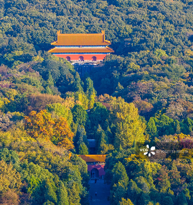 南京明孝陵航拍秋景图片素材