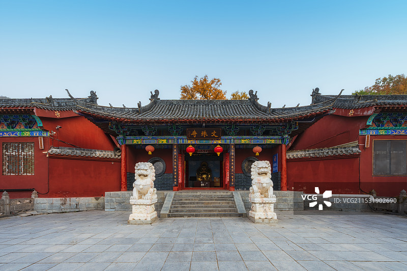 河南，平顶山市，鲁山，四棵树乡，平沟村，文殊寺，俺窟沱寺，唐贞观二年（628年）2800年树龄银杏图片素材