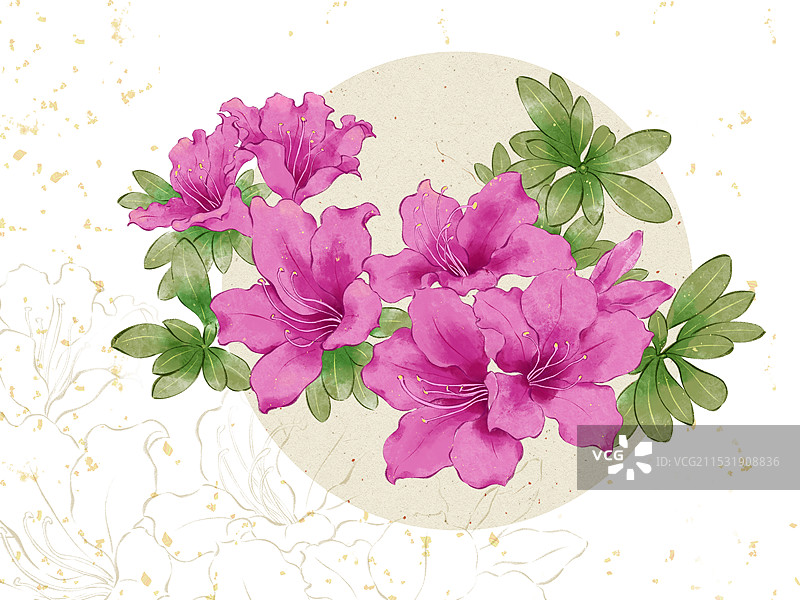 手绘国风花卉插画，水彩杜鹃花。图片素材