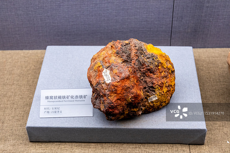 山西地质博物馆 蜂窝状褐铁矿化赤铁矿  时代:石炭纪产地:吕梁孝义图片素材
