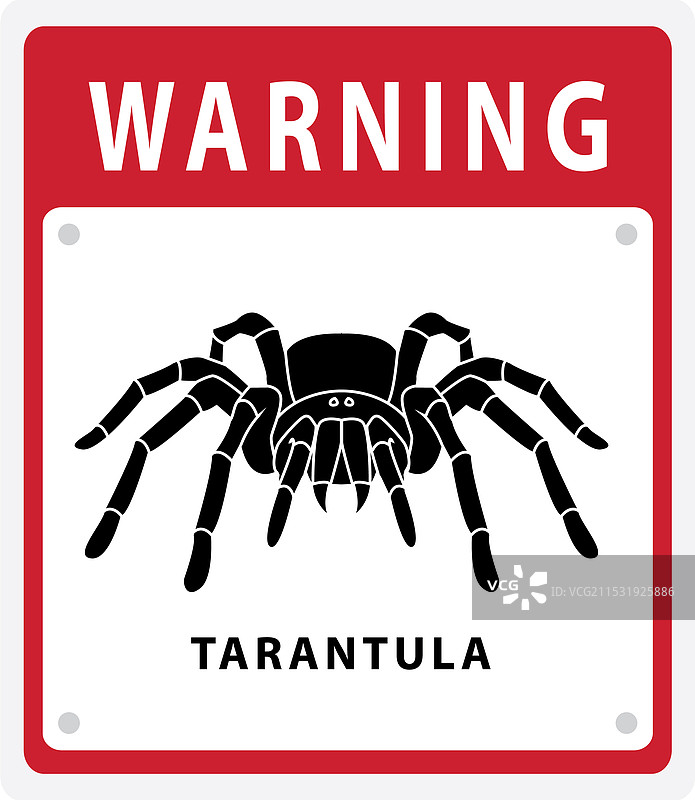 警告蜘蛛标志图片素材