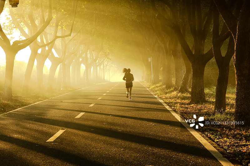 在光影中晨跑图片素材