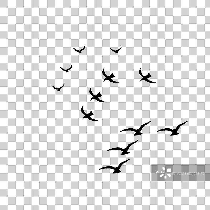 天空中翱翔的飞鸟免抠元素素材图片素材