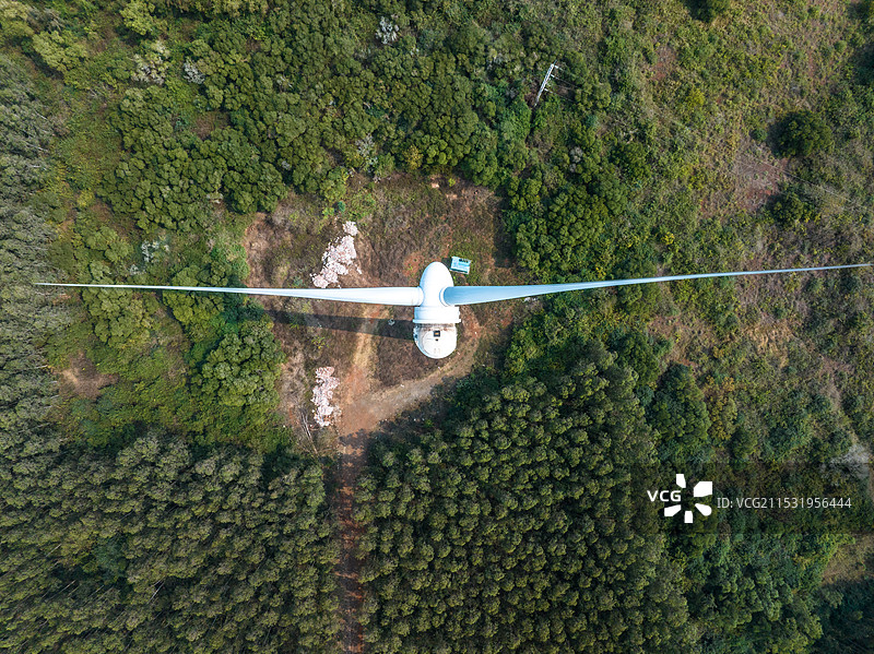 海边森林里的风能风力发电场风车图片素材