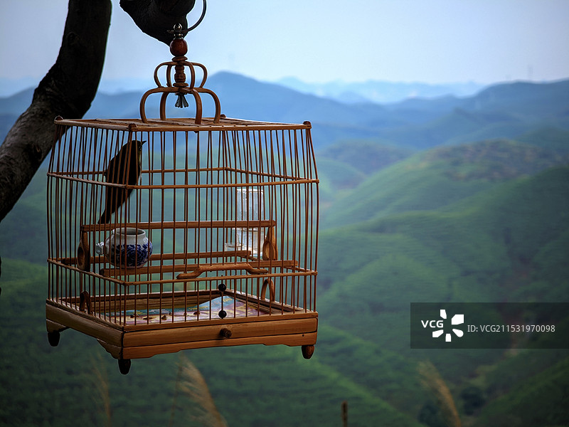 摄于南宁天雹水库图片素材
