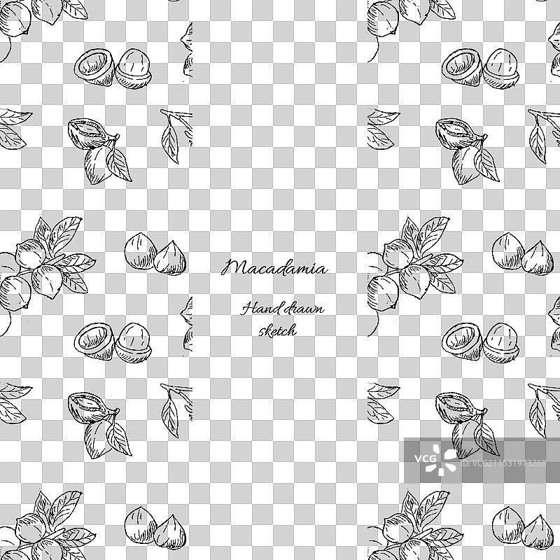 澳洲坚果包装封面模板设计图片素材