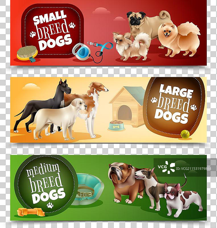 犬种横幅套件图片素材