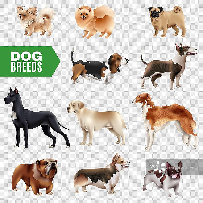 狗品种透明图标集图片素材