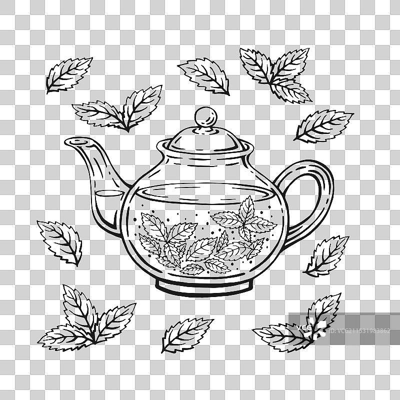 手绘轮廓风格的茶壶与薄荷叶茶图片素材