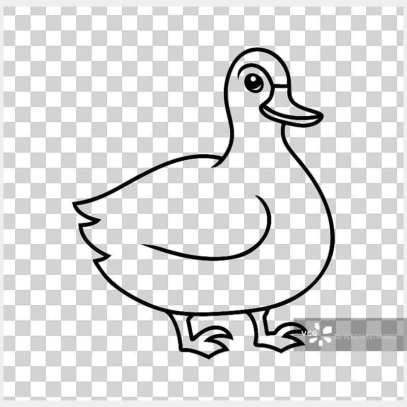 手绘动物涂鸦鸭子剪贴画，孤立图像图片素材