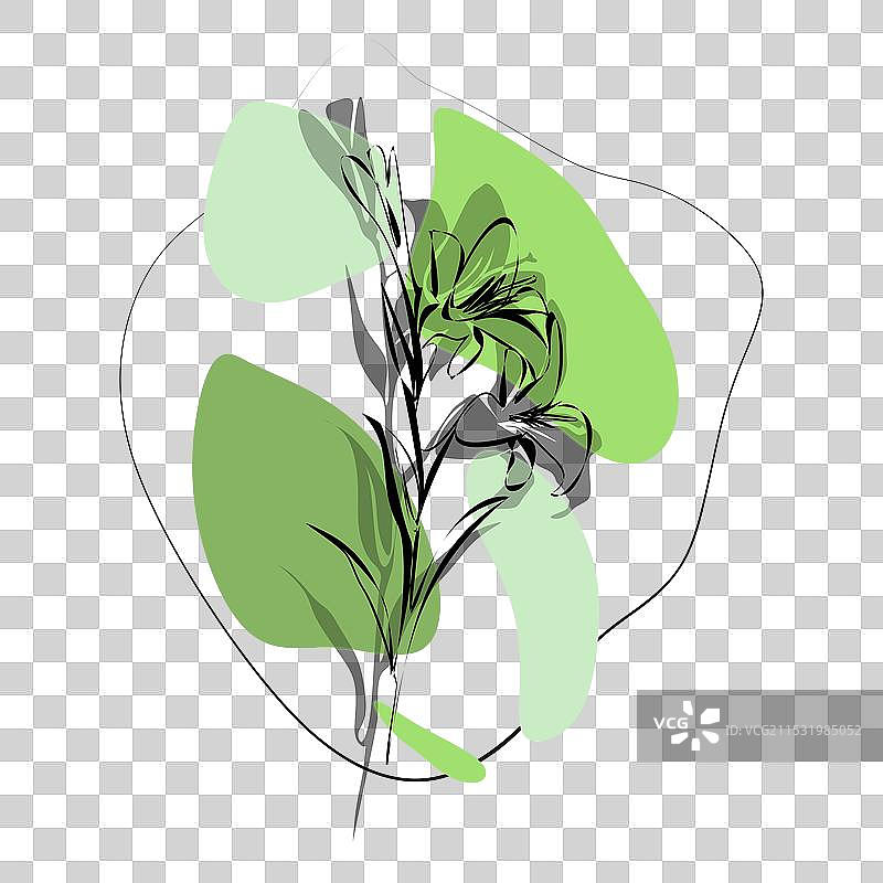 手持装饰卡片邀请函的百合花图片素材