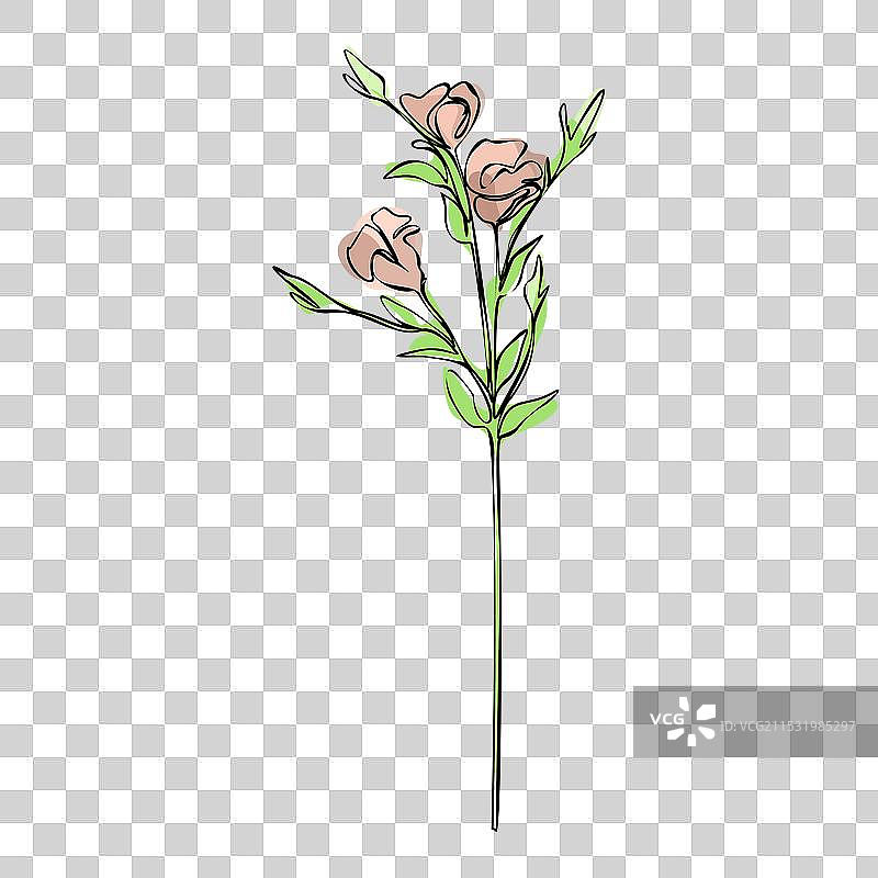 彩色简约风格的丽莎花线条画图片素材