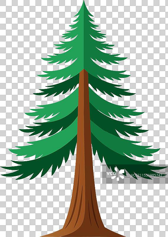 红杉树的绘画图片素材