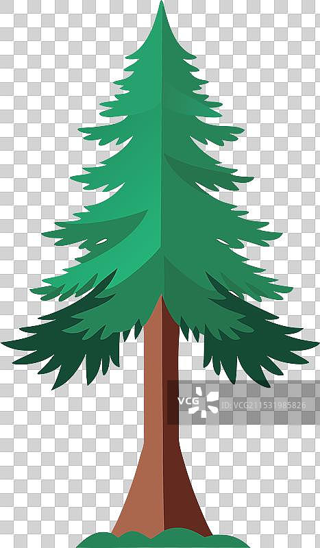 红杉树的绘画图片素材