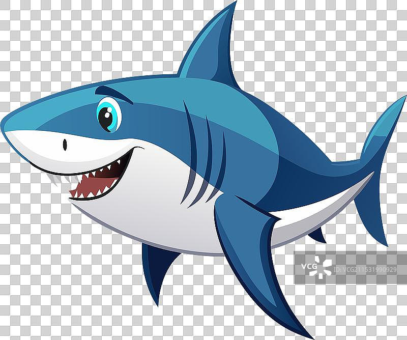 白色背景上的鲨鱼图片素材