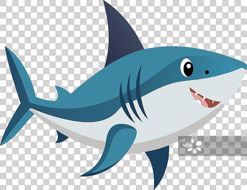 白色背景上的鲨鱼图片素材