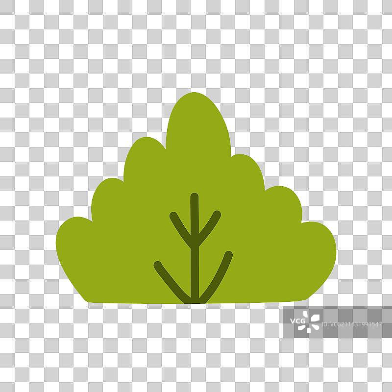 孤立在白色背景上的灌木丛图片素材