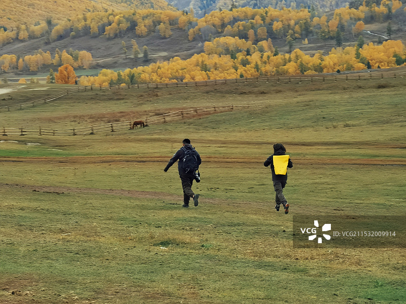 禾木草原之飞快的脚步图片素材