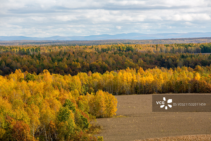 伊春嘉荫恐龙国家地质公园图片素材
