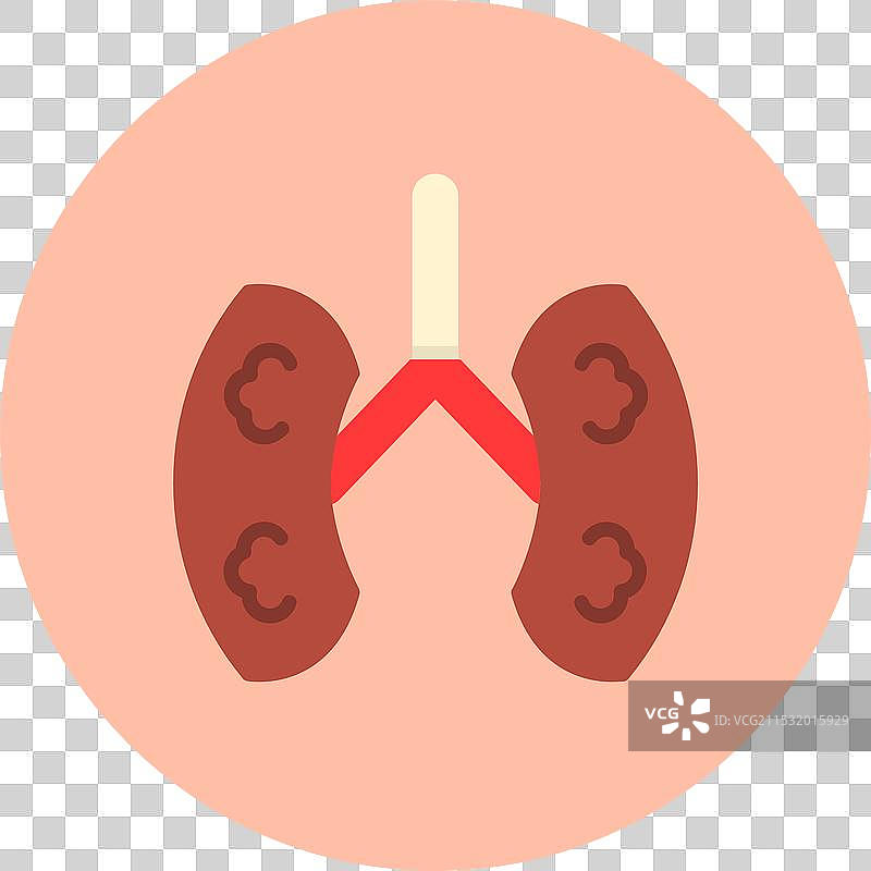 肾脏扁平圆形图标图片素材