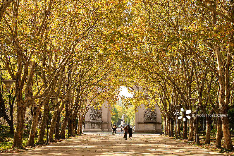 无锡蠡湖中央公园（原欧洲城）梧桐秋色图片素材