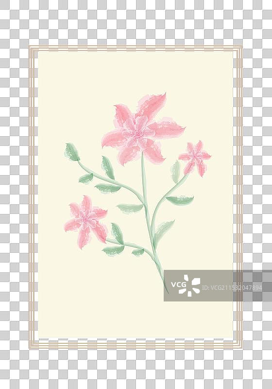 水彩花卉图片素材