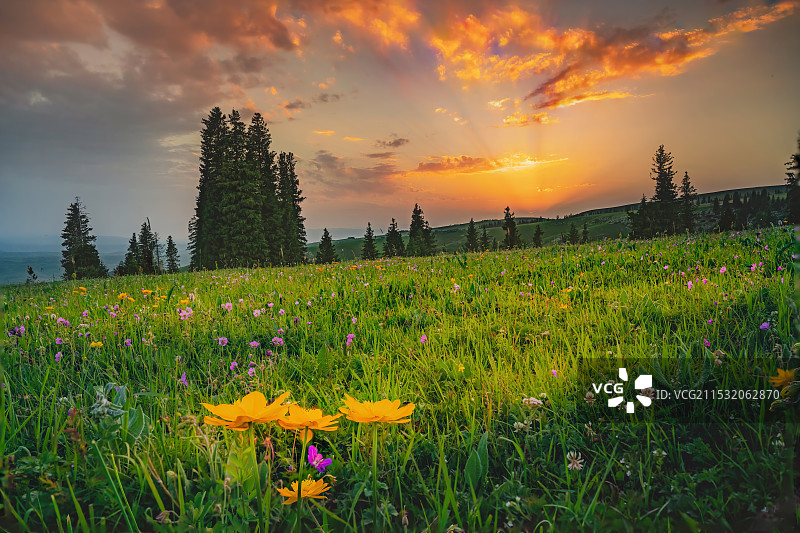 新疆喀拉峻草原之日落图片素材