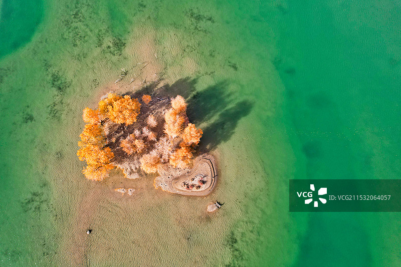 新疆沙雅县139胡杨秘境公路沿途风光图片素材