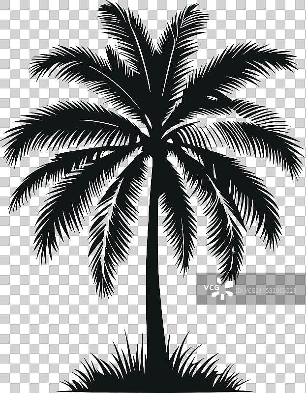 棕榈树剪影图片素材