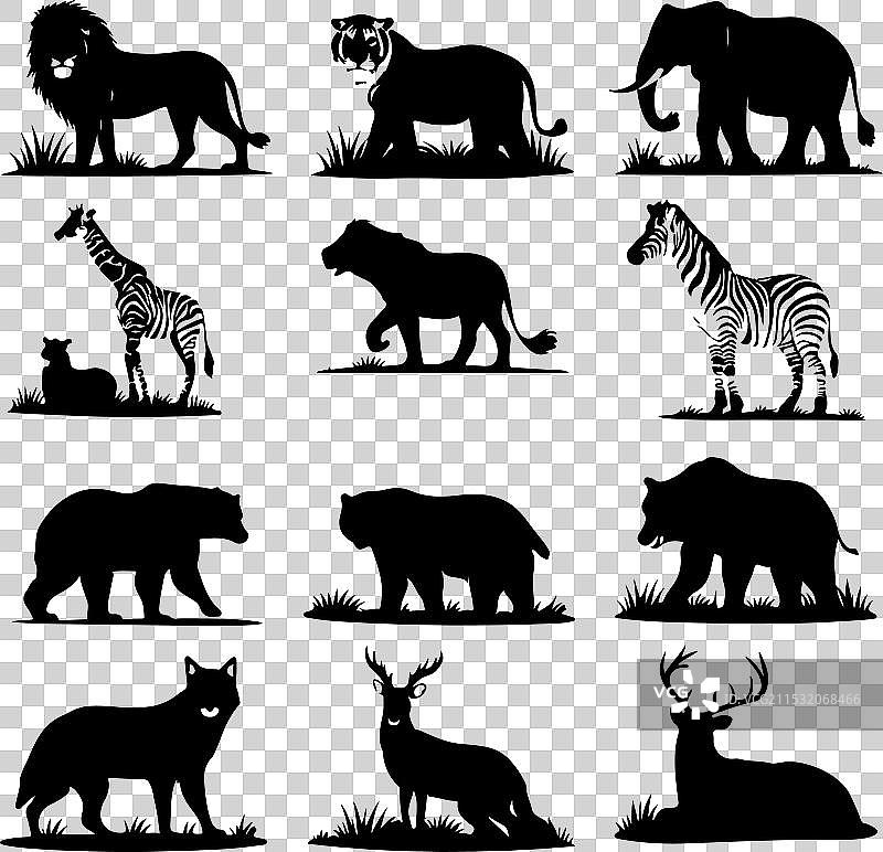 设计一套高质量的野生动物系列图片素材