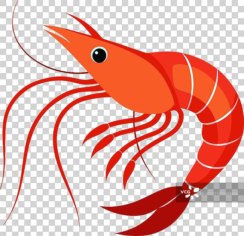 河虾鱼图片素材