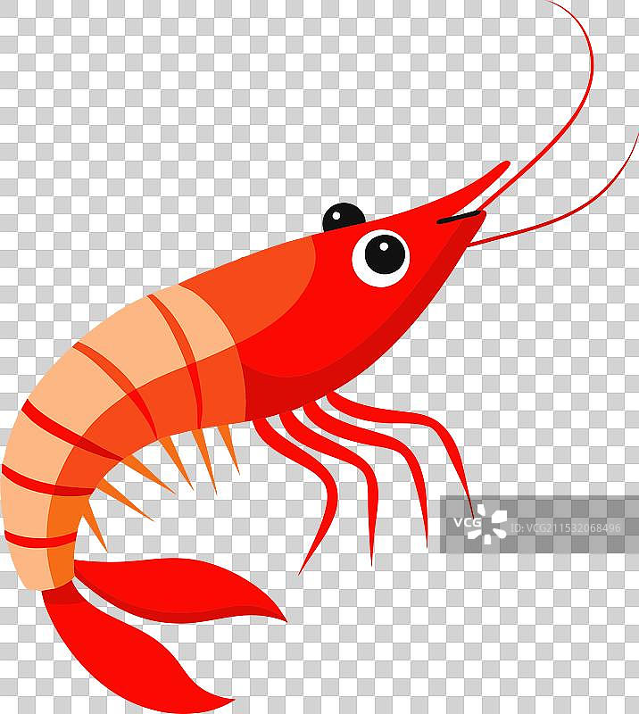 河虾鱼图片素材