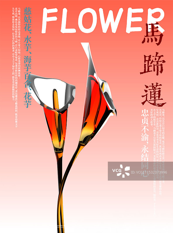 3D花卉马蹄莲设计海报图片素材
