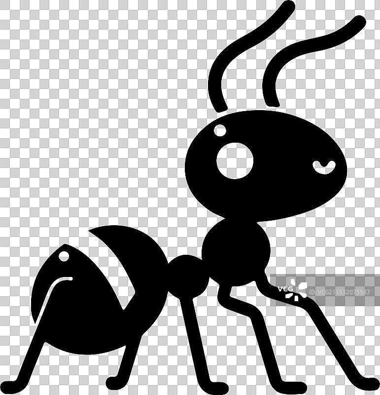 为多种用途而创造的蚂蚁图片素材