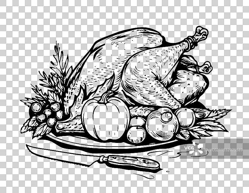 手绘草图的美味炸火鸡菜肴图片素材