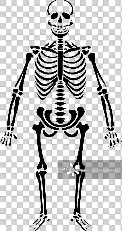 骷髅的黑色线条设计图片素材