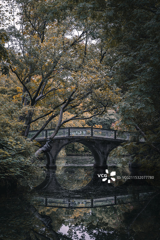 常州红梅公园图片素材