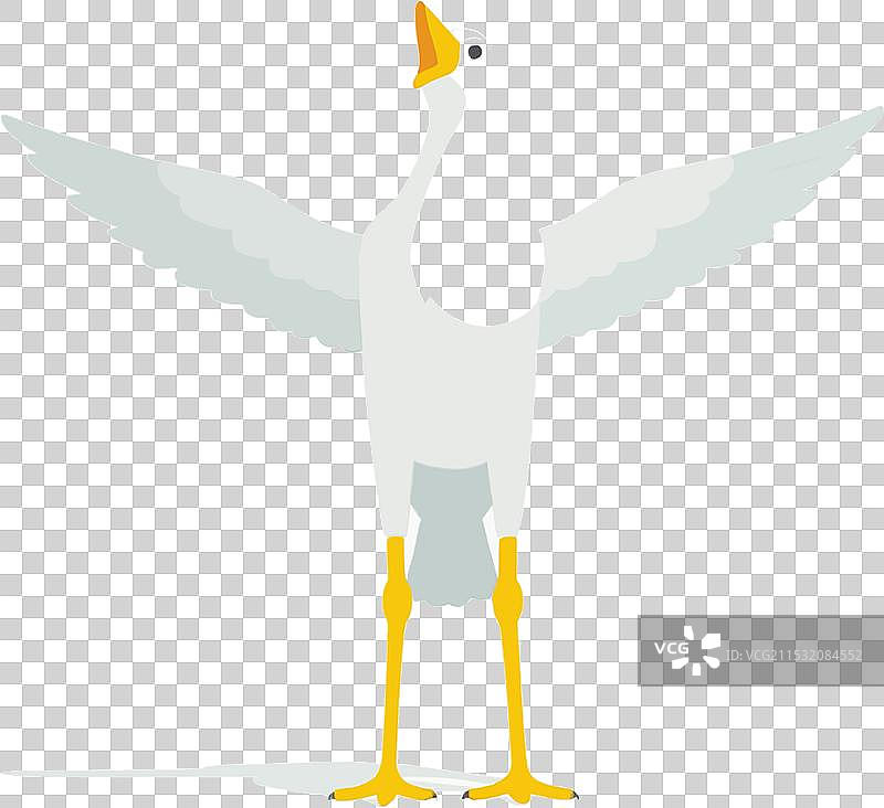 野生动物飞翔在自然环境中图片素材