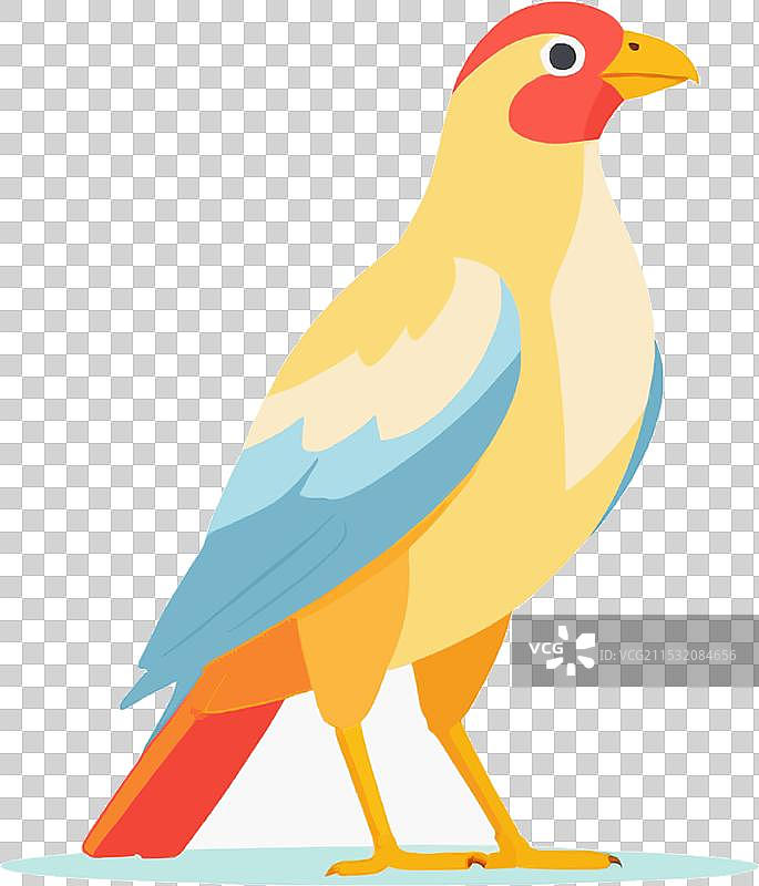 野生动物飞翔在自然环境中图片素材