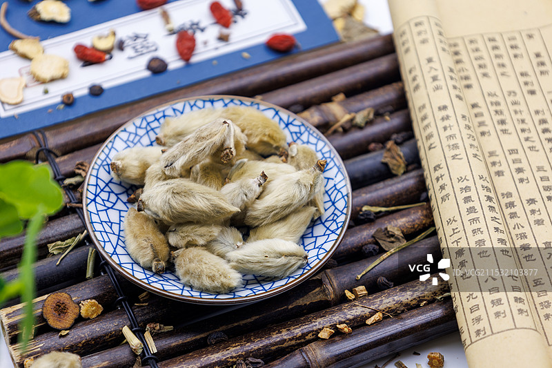 中药材 辛夷 棚拍 特写图片素材