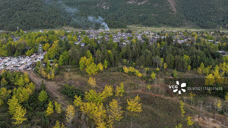 云南腾冲银杏村航拍图   银杏村航拍图片素材