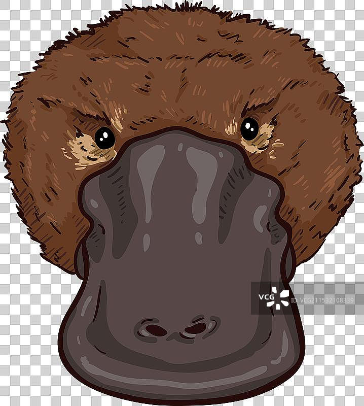 彩色鸭嘴兽卡通图图片素材