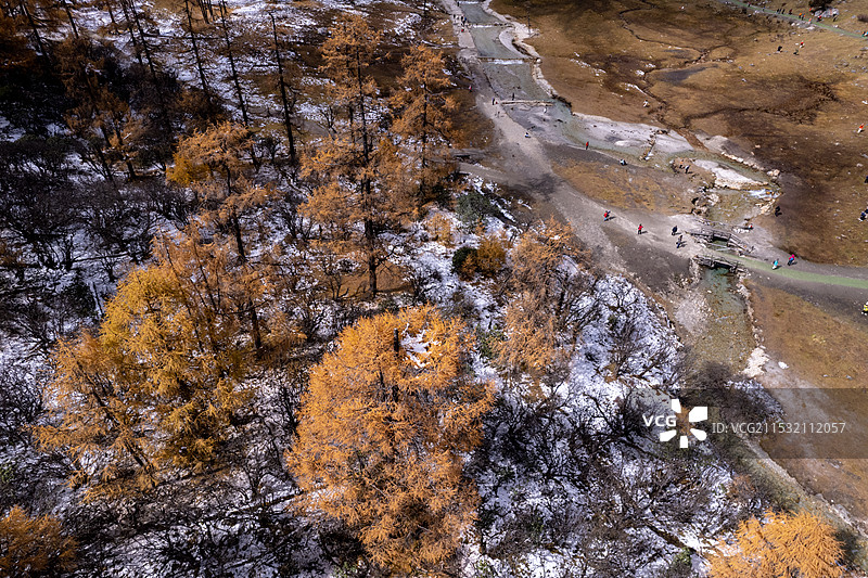 川西毕棚沟燕子岩秋天彩林图片素材