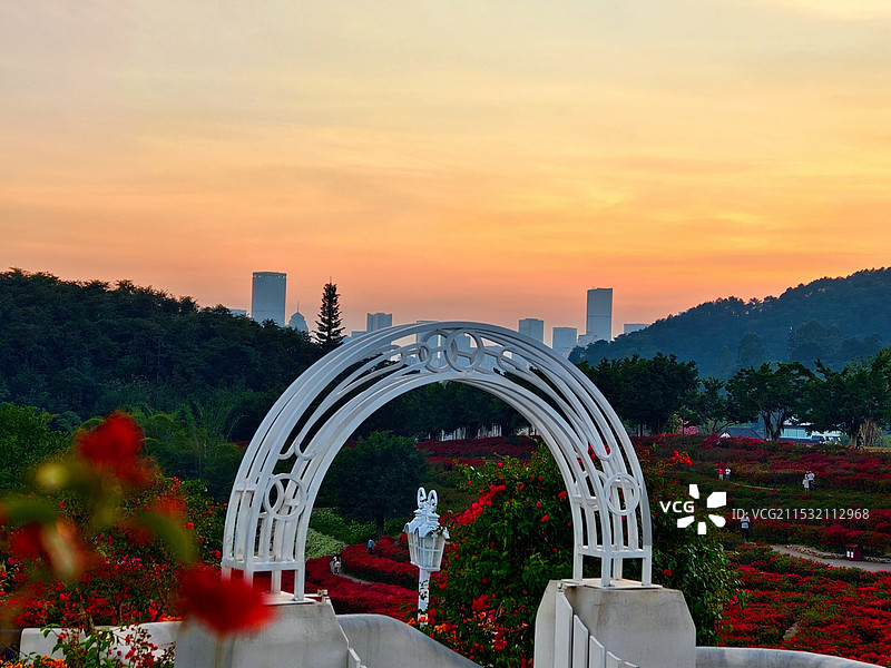 南宁青秀山风景区叶子花园夜景图片素材