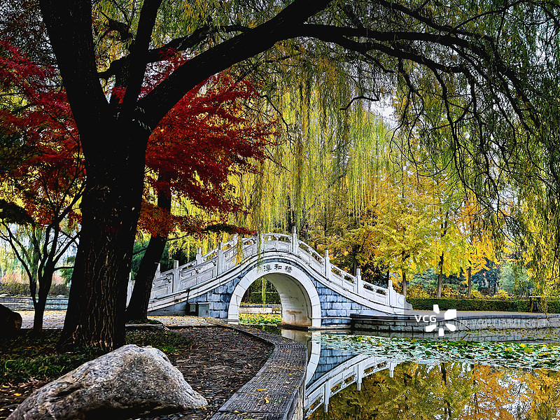 晚秋还是初冬（隋唐遗址公园）图片素材