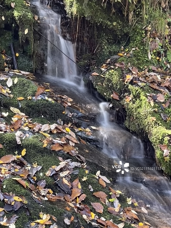 黄柏塬大箭沟的山涧小瀑布图片素材