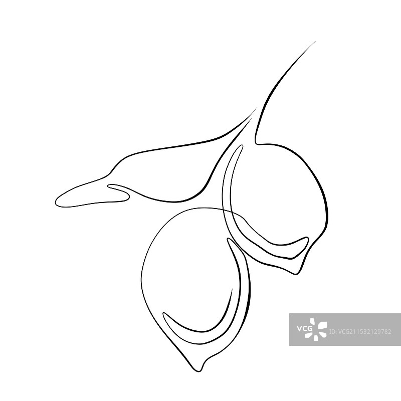 连续的线条绘画 线条艺术 连续图片素材