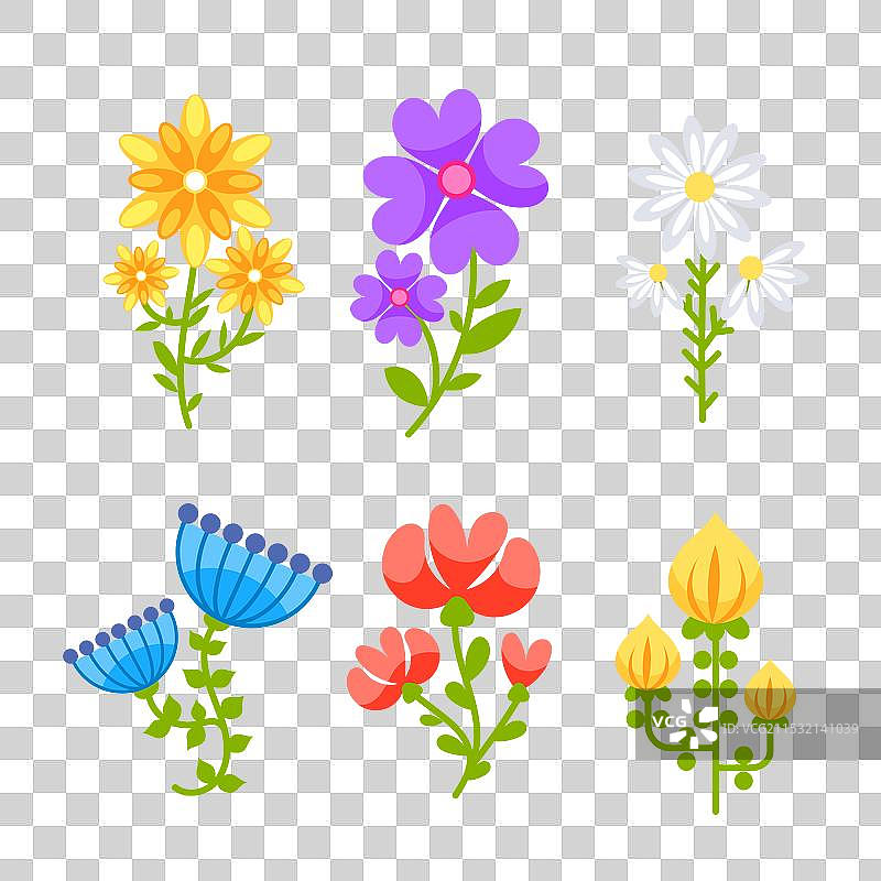 花卉和植物合集 花束图片素材